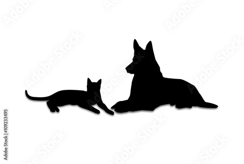 chat et chien couchés