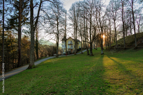 Sunset in park with trees and green grass, Alps in the background. Fussen, Germany.