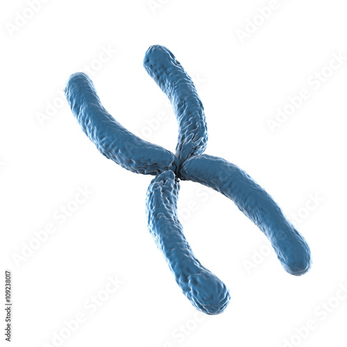 blue chromosome on white background