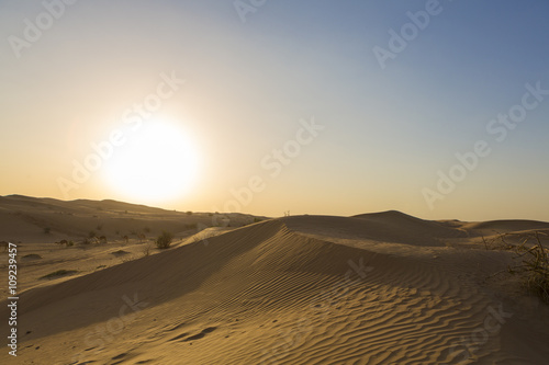 Sand dunes desert near Dubai in UAE