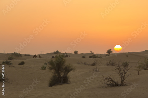Sand dunes desert near Dubai in UAE