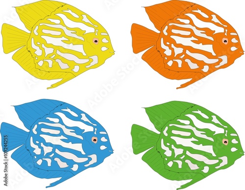 Change color fish vektor set