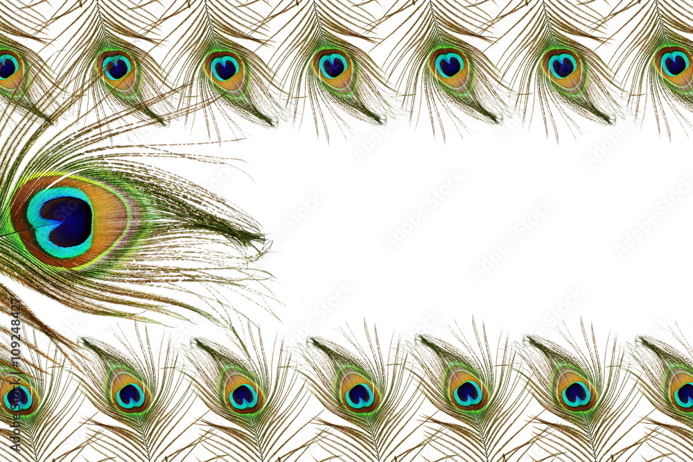 Obraz premium Beautiful peacock feathers as background with text copy space