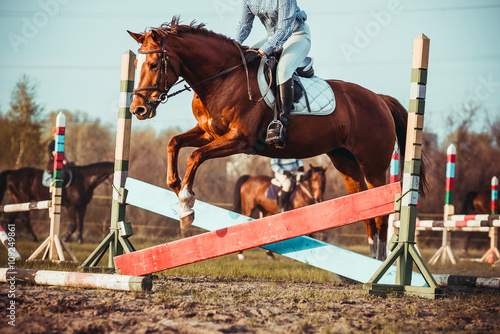  Girl on a horse © sergo321