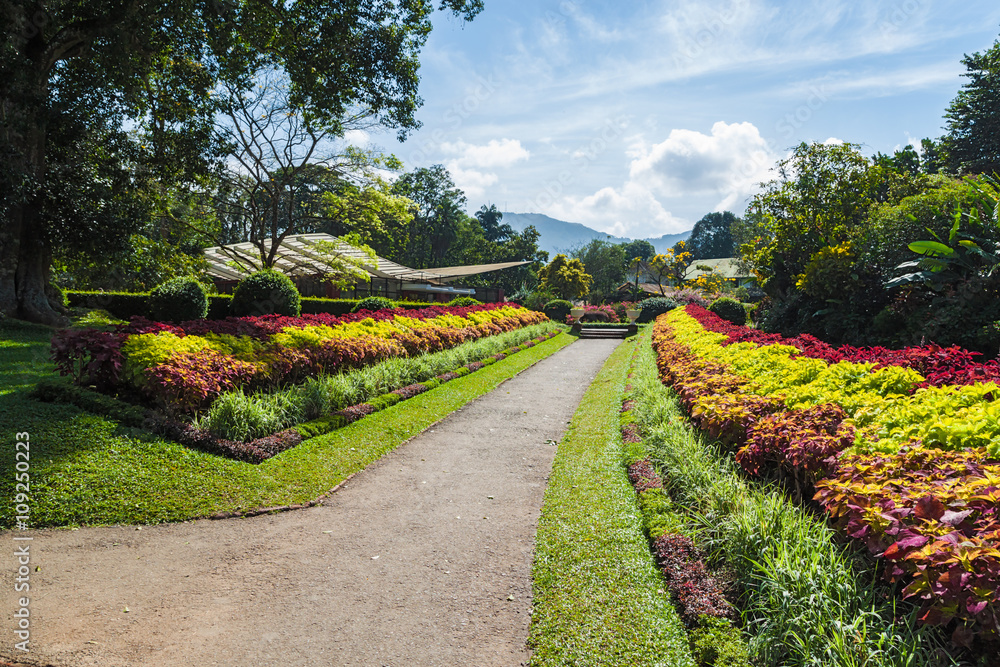 Multicolored alley of trees and flowers . Royal Botanic Gardens,