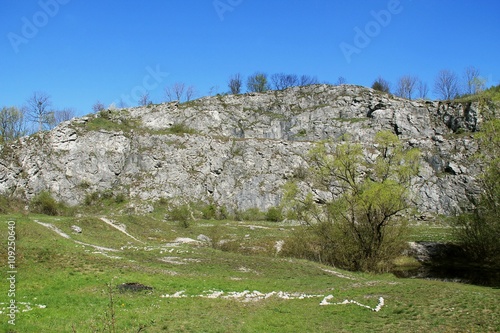 rocks in former limestone quarry Kamenarka near Stramberk, Czech Republic photo