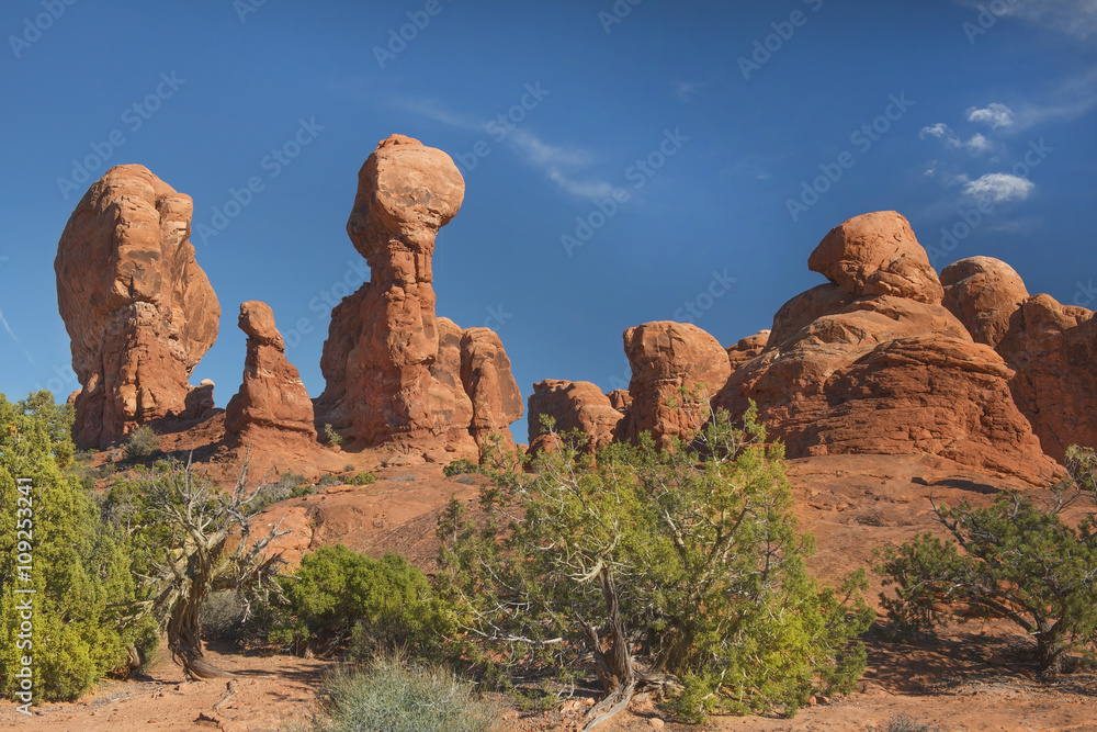 Fototapeta premium Arches National Park, Utah, USA
