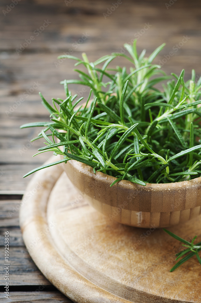 Fresh green aromatic rosemary on the wooden table Fresh green aromatic rosemary on the wooden table