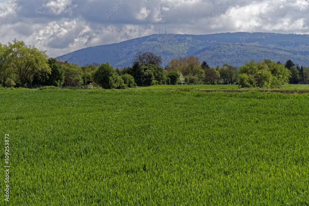 landscape with meadow and hills