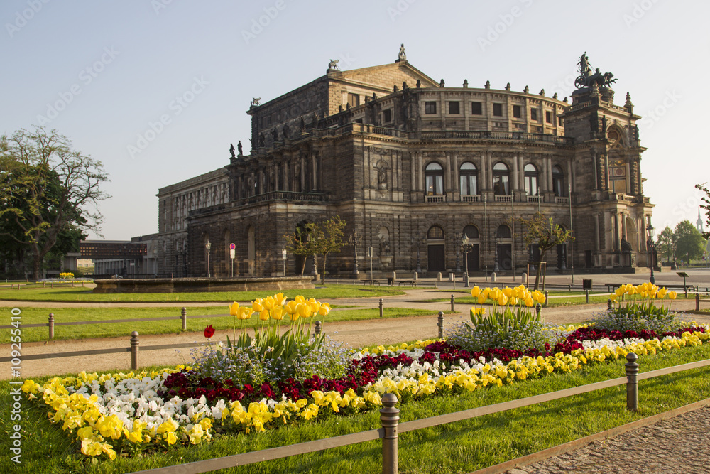 Blumenbeet vor Semperoper in Dresden
