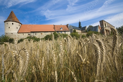 Romanesque fortifications i...
