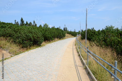 Mountain trail - Giant Mountains  Karkonosze  in Poland 