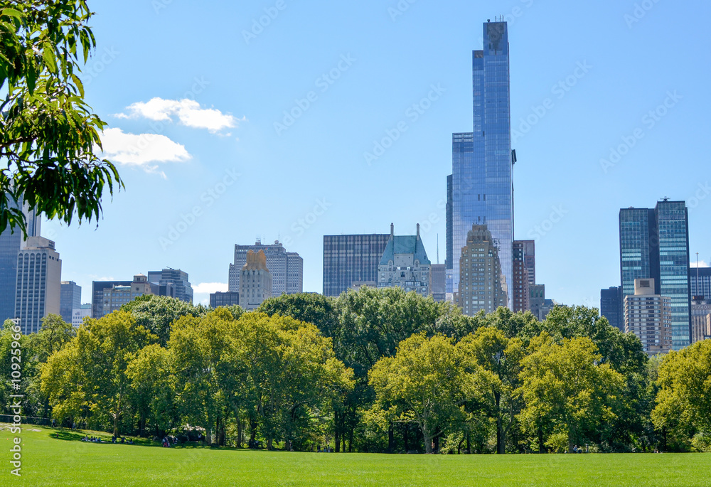 view from the Central Park lawn view from the Central Park lawn