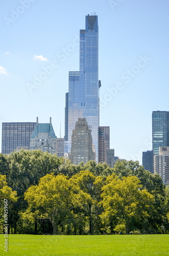 view from the Central Park lawn