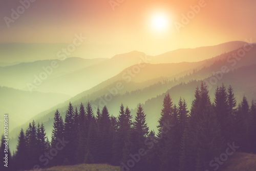 Landscape of misty  mountain hills and forest. Fantastic evening glowing by sunlight. © vovik_mar