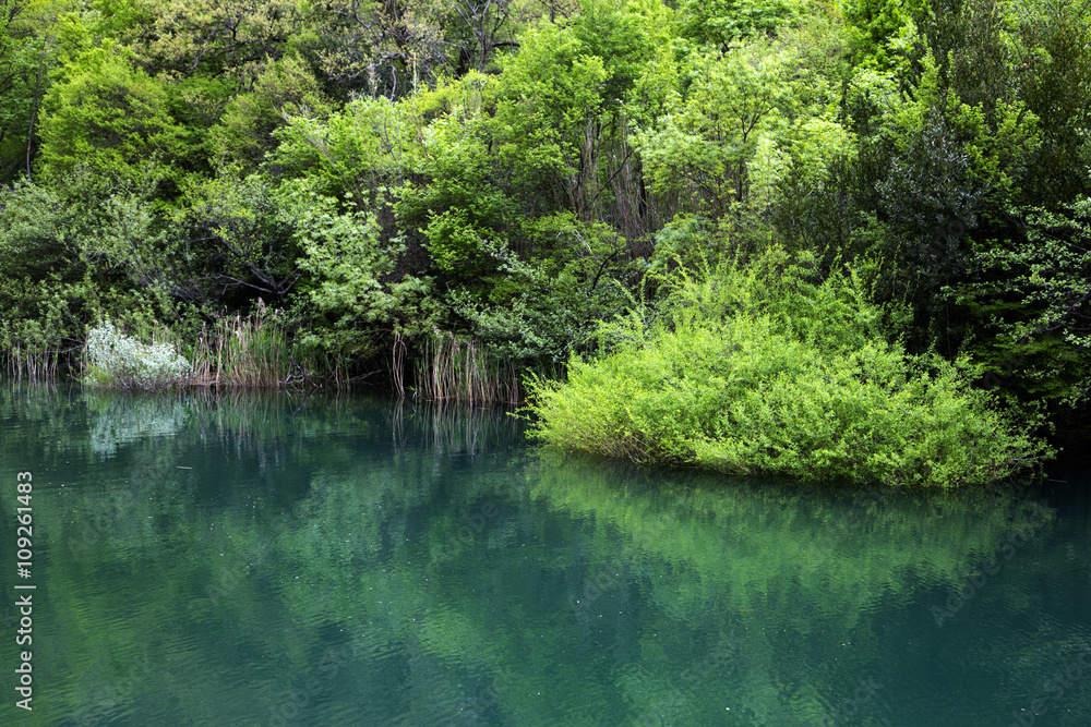 Beautiful Cetina river landscape in Croatia Beautiful Cetina river landscape in Croatia