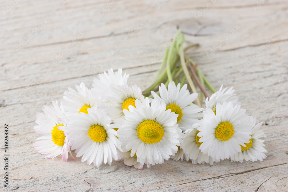 Fototapeta premium Bouquet of daisies on white wooden background