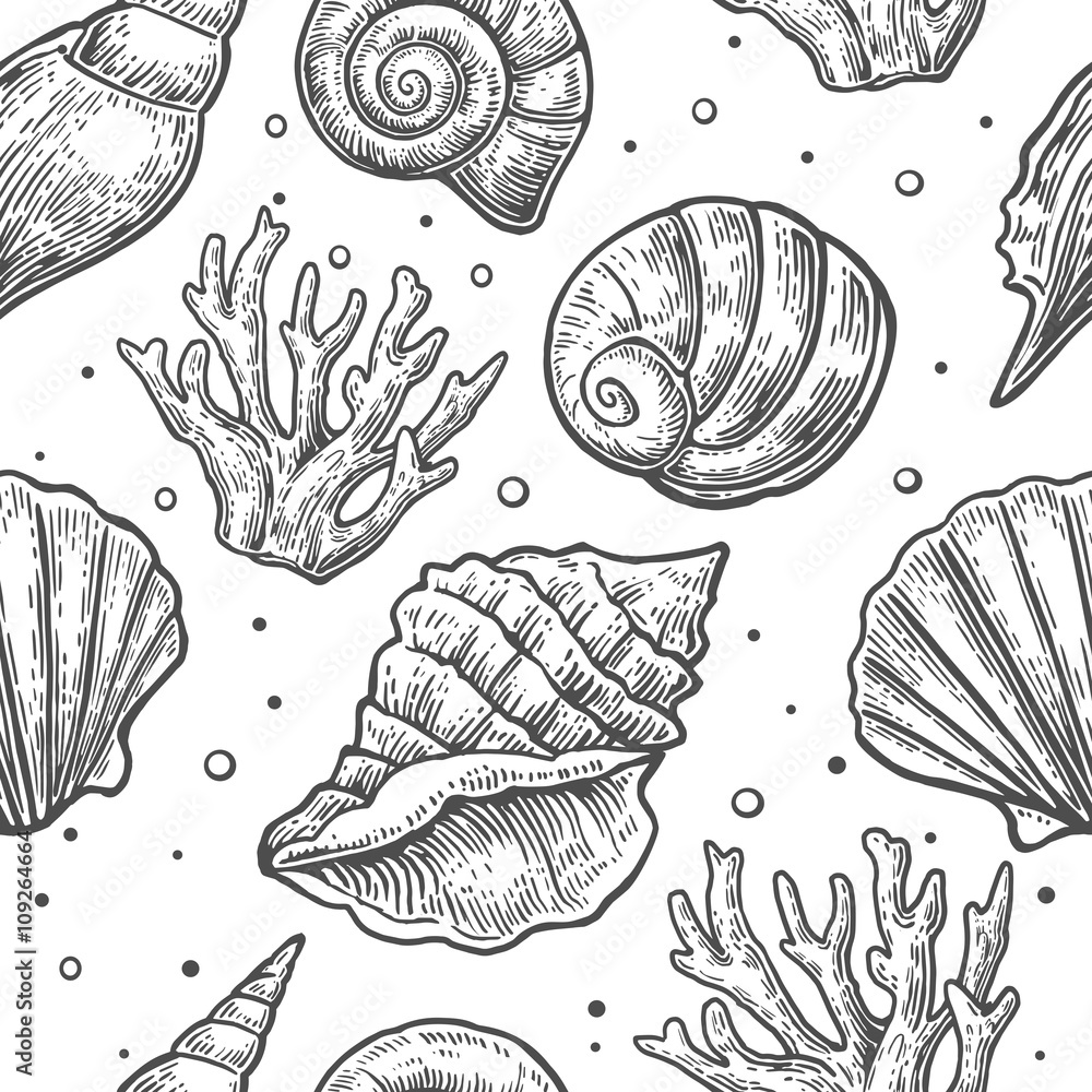 Seamless pattern sea shell.  Vector engraving vintage illustrations. Isolated on  white background