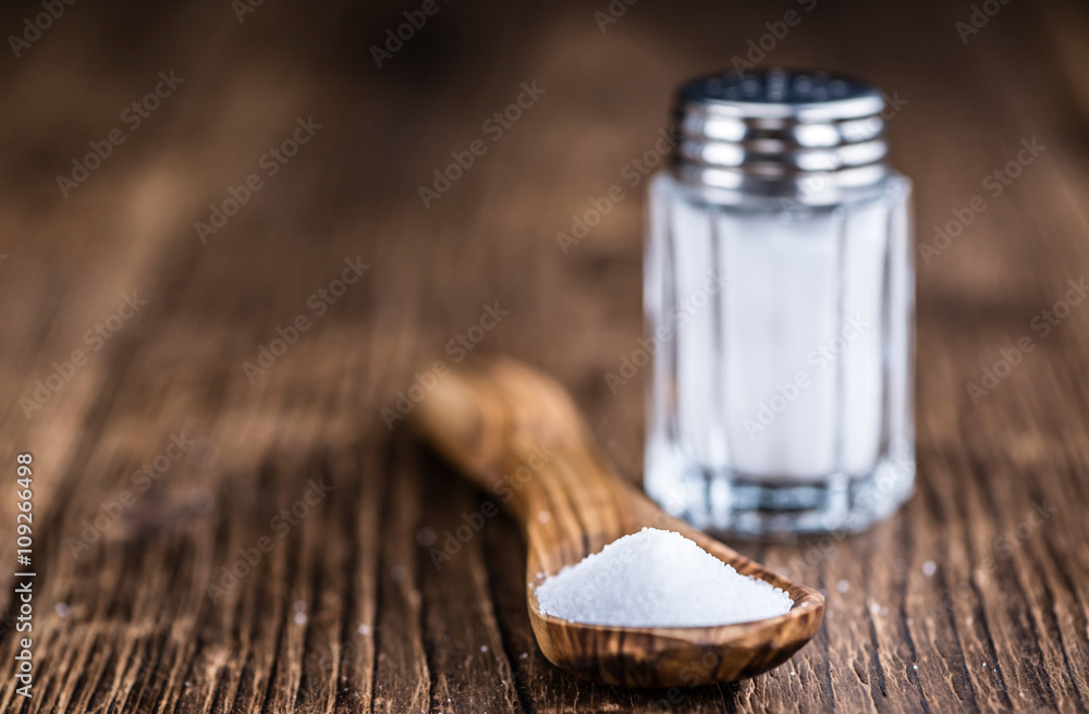 Salt Shaker Salt Shaker