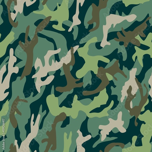 Camouflage Pattern