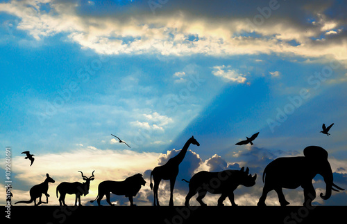 Photography Silhouettes of animals on blue cloudy sunset background