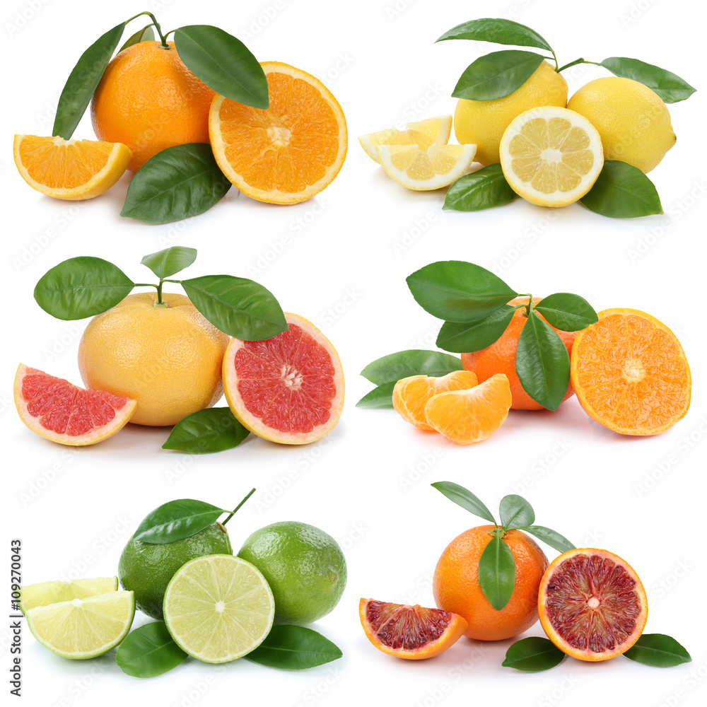 Sammlung Orangen Zitronen Mandarinen Grapefruit Früchte Freiste