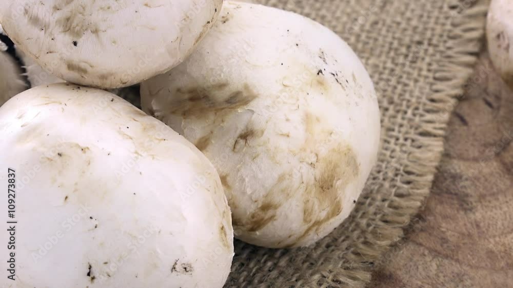 Rotating Mushrooms as detailed not loopable 4K UHD footage (close-up clip) Rotating Mushrooms as detailed not loopable 4K UHD footage (close-up clip)