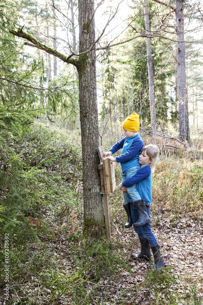 Sisters in forest Sisters in forest