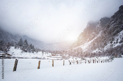 Country in snow photo