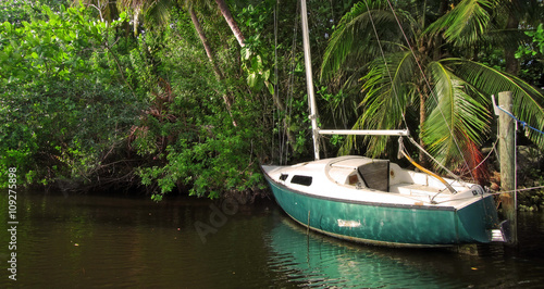 Abandoned Sailboat on Jungle River
