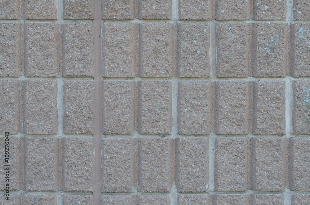 Obraz premium brick wall