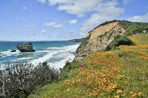 Coastline views near Arch Rock in Point Reyes National Seashore with Spring Flowers. Marin County, California, USA. photo