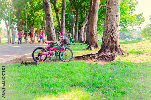 Bicycle for Children   in the park