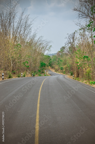 A country road with trees on either side © obeyleesin