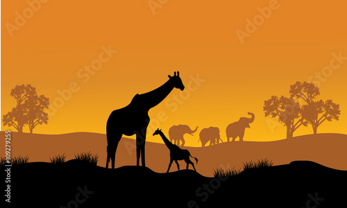 Wild african animals silhouettes