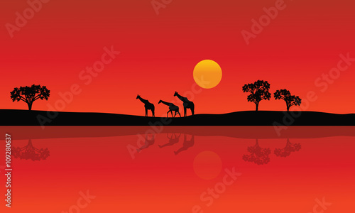 Silhouette of giraffe with red backgrounds