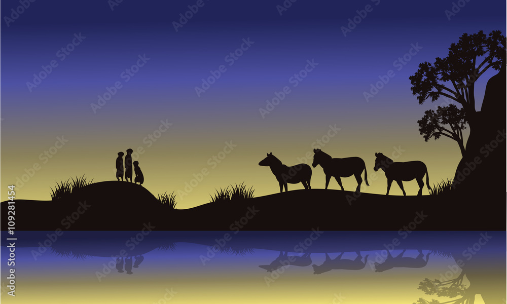 Zebra and meerkat at night scenery Zebra and meerkat at night scenery
