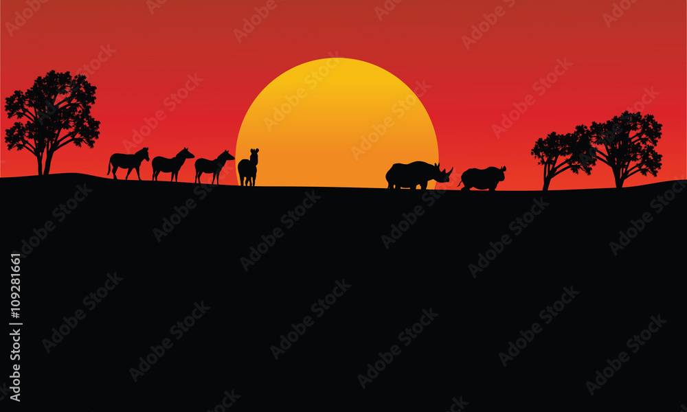 Landscape zebra and rhino silhouette with sun