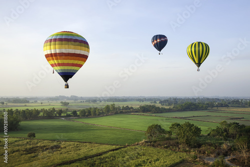 Colorful hot air balloons over green rice field.