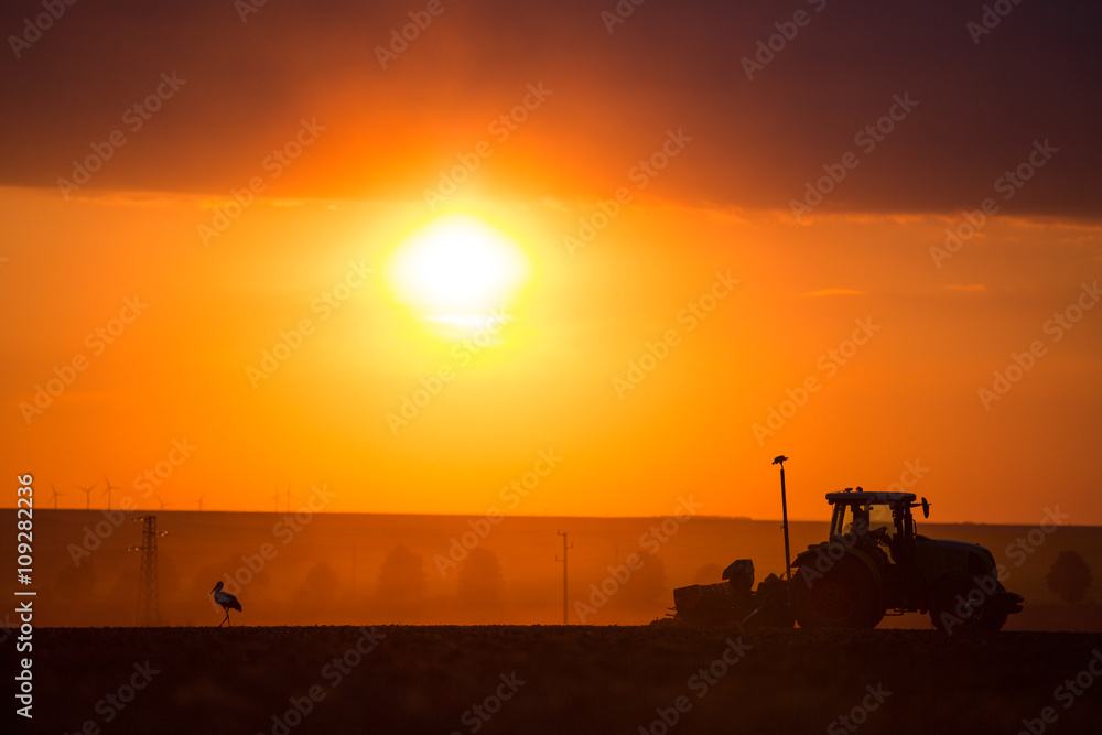 Fototapeta premium Farmer in tractor preparing land with seedbed cultivator