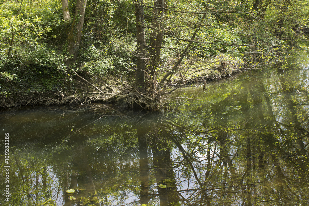 Les reflets de l'Yon Les reflets de l'Yon