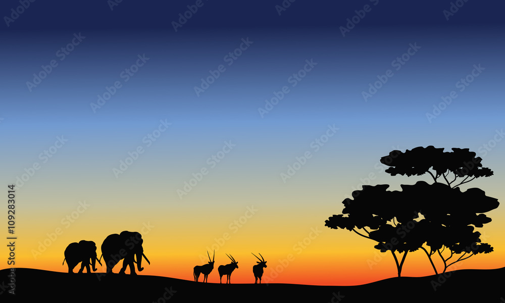 Elephant and antelope silhouette