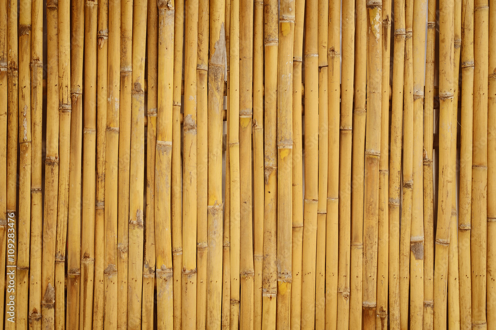 bamboo wood pattern for background bamboo wood pattern for background