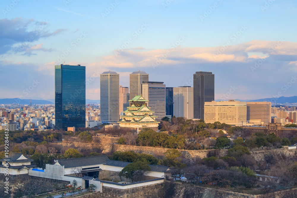 Bird eye view of Osaka Castle