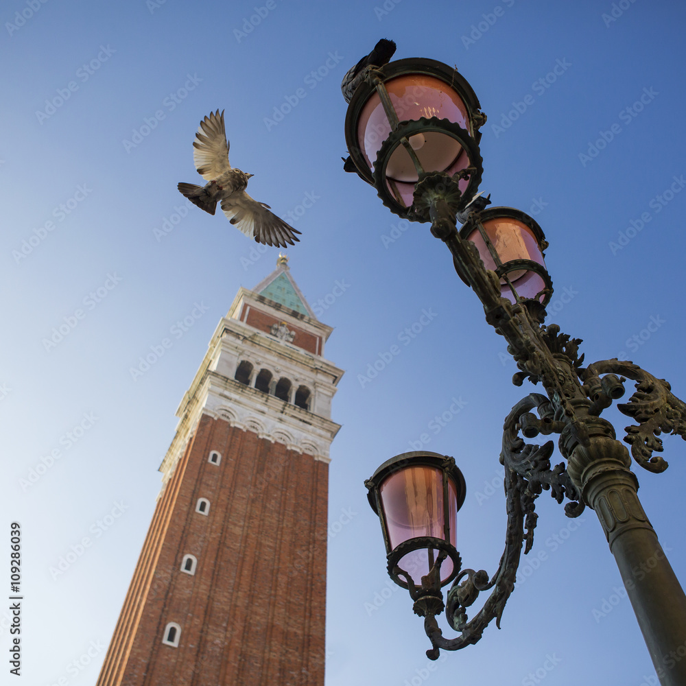 St Mark's Campanile bell tower, dove and vintage streetlight in Piazza San Marco, Venice, view from the ground