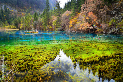 Colorful view of Jiuzhaigou in sunny day