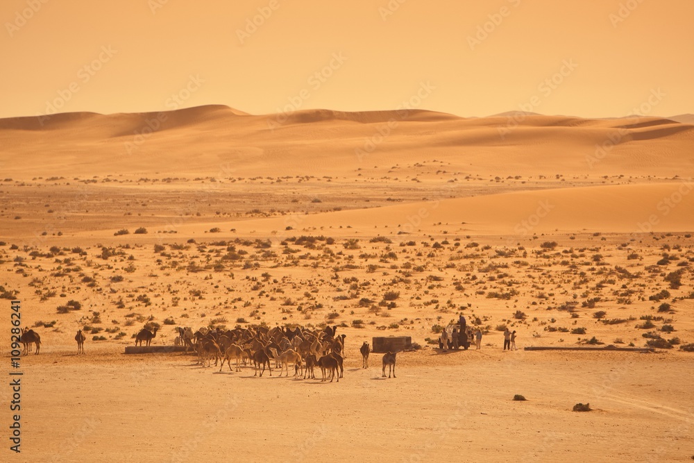 Desert landscape with a camel herd and safari tourist group
