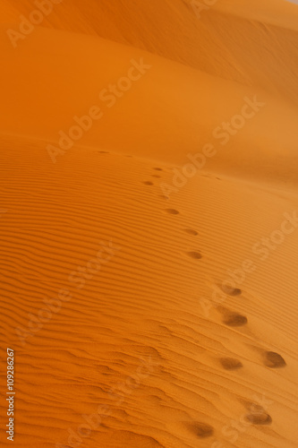 Path of foot prints in the hot desert sand