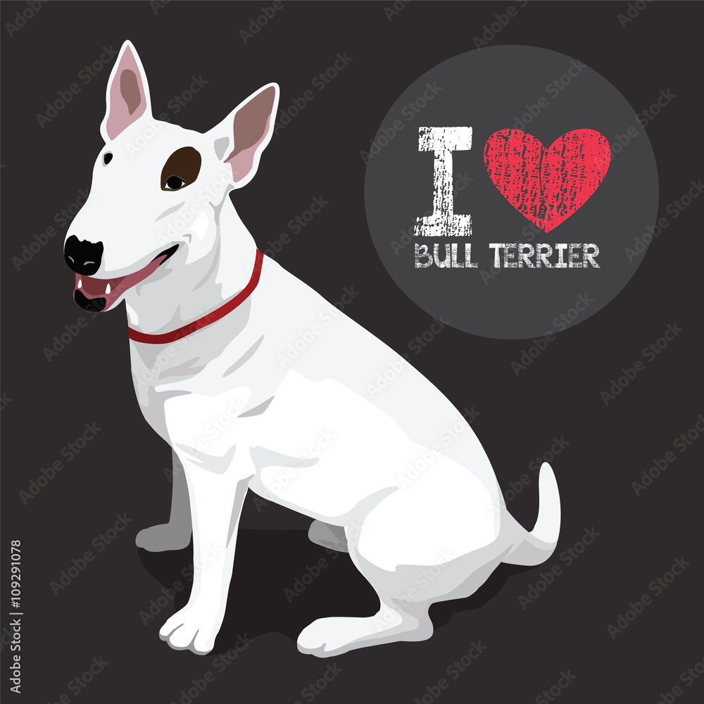 Obraz premium Bull Terrier