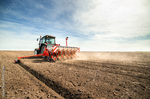 Fotografie seeding crops at field
